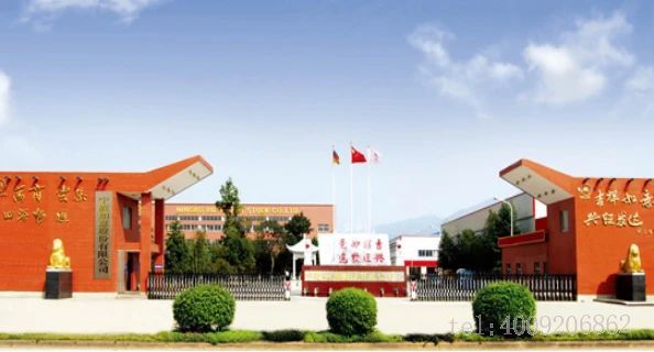 寧波品牌百優案例 ‖ 寧波如意：實施科學創新戰略，建樹百年西林品牌(圖1)